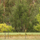 Image for article titled Real Cross Country Delivers Real Redemption